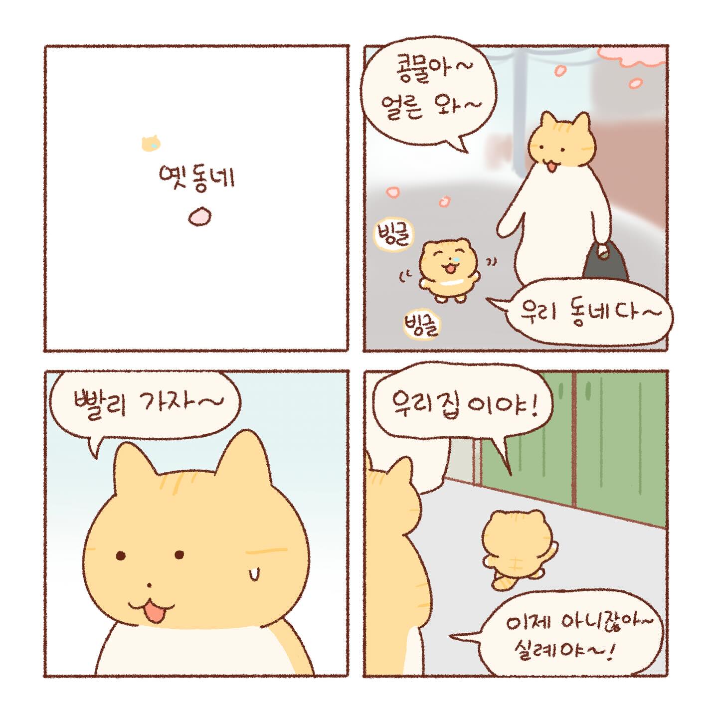 엄마가 웃는게 좋은 콩물이 | 인스티즈