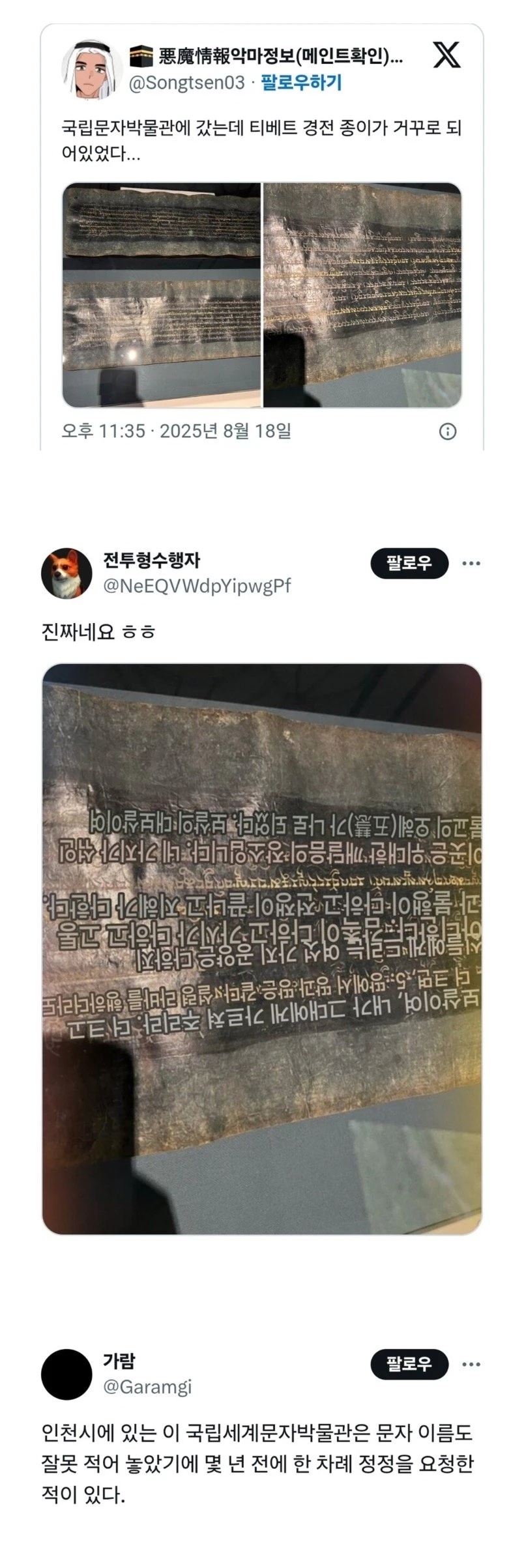 박물관에 전시품이 거꾸로 된걸 발견한 오타쿠 | 인스티즈