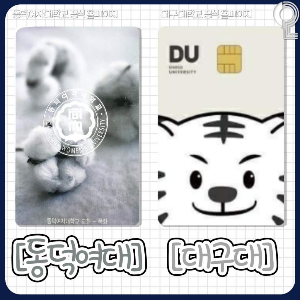 예쁜 대학교 학생증 모음 | 인스티즈