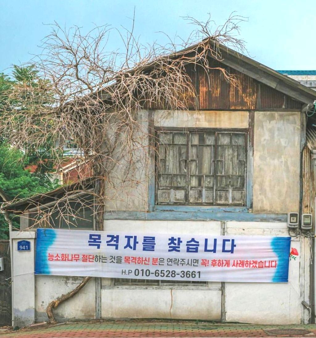 열등감이란 말로는 부족한 괴악한 사회현상.twt | 인스티즈