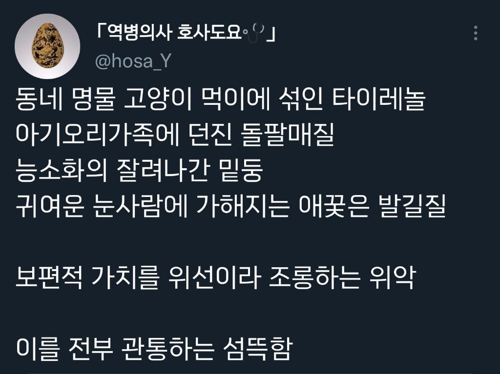 열등감이란 말로는 부족한 괴악한 사회현상.twt | 인스티즈
