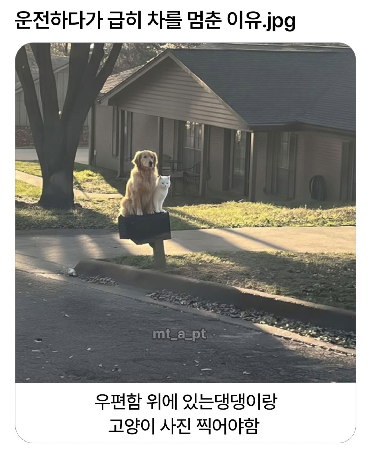 운전하다가 차를 멈춘 이유 | 인스티즈