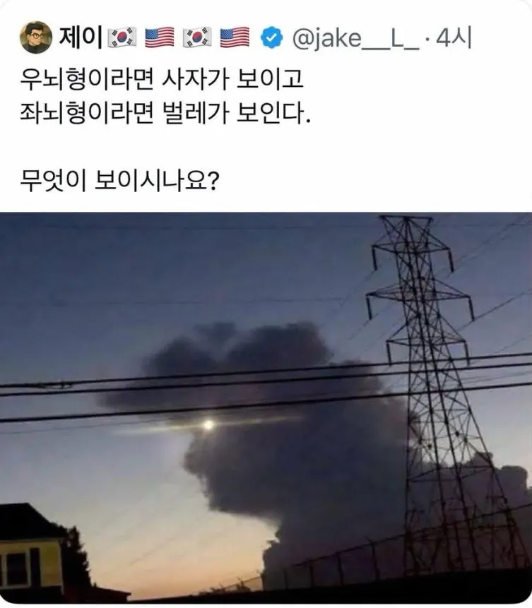 이걸 보고 무엇이 보이시나요? | 인스티즈