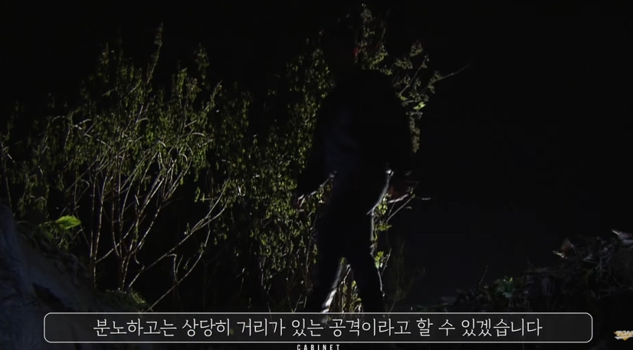 엄청 주도면밀하다는 개구리소년 범인 ㅎㅇㅈㅇ | 인스티즈