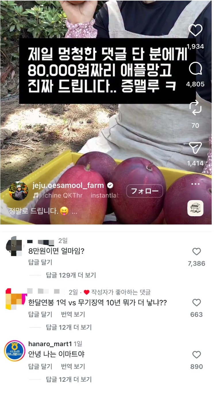 몽총한 댓글 단 분에게 애플망고 드립니다 | 인스티즈