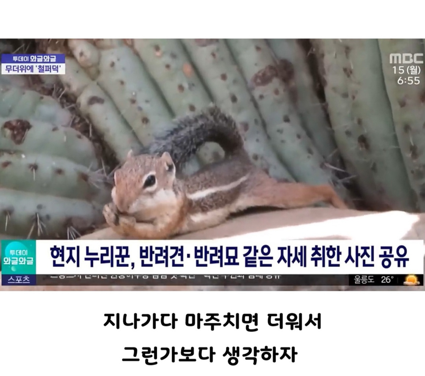 다람쥐가 여름을 보내는 방법 | 인스티즈