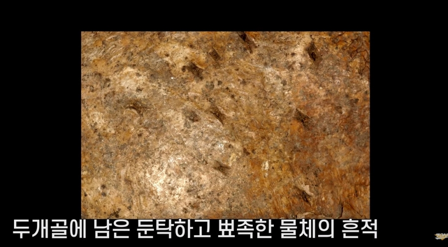엄청 주도면밀하다는 개구리소년 범인 ㅎㅇㅈㅇ | 인스티즈