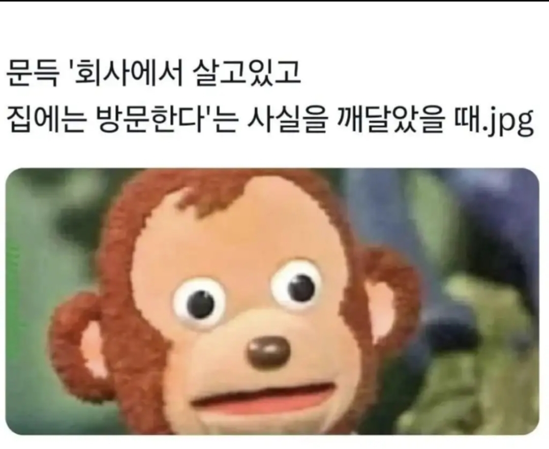 회사 다니면 깨닫게 되는 것 | 인스티즈