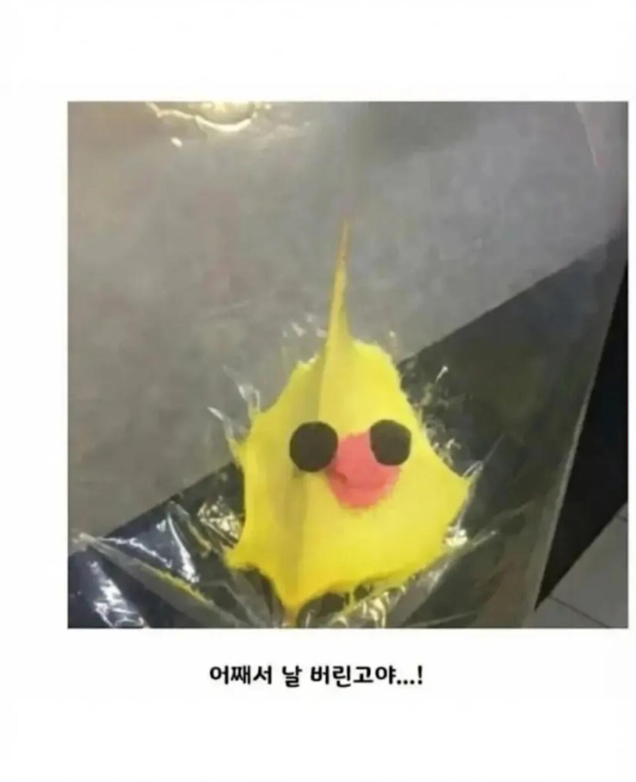 솜사탕을 샀다가 방치했을때 | 인스티즈