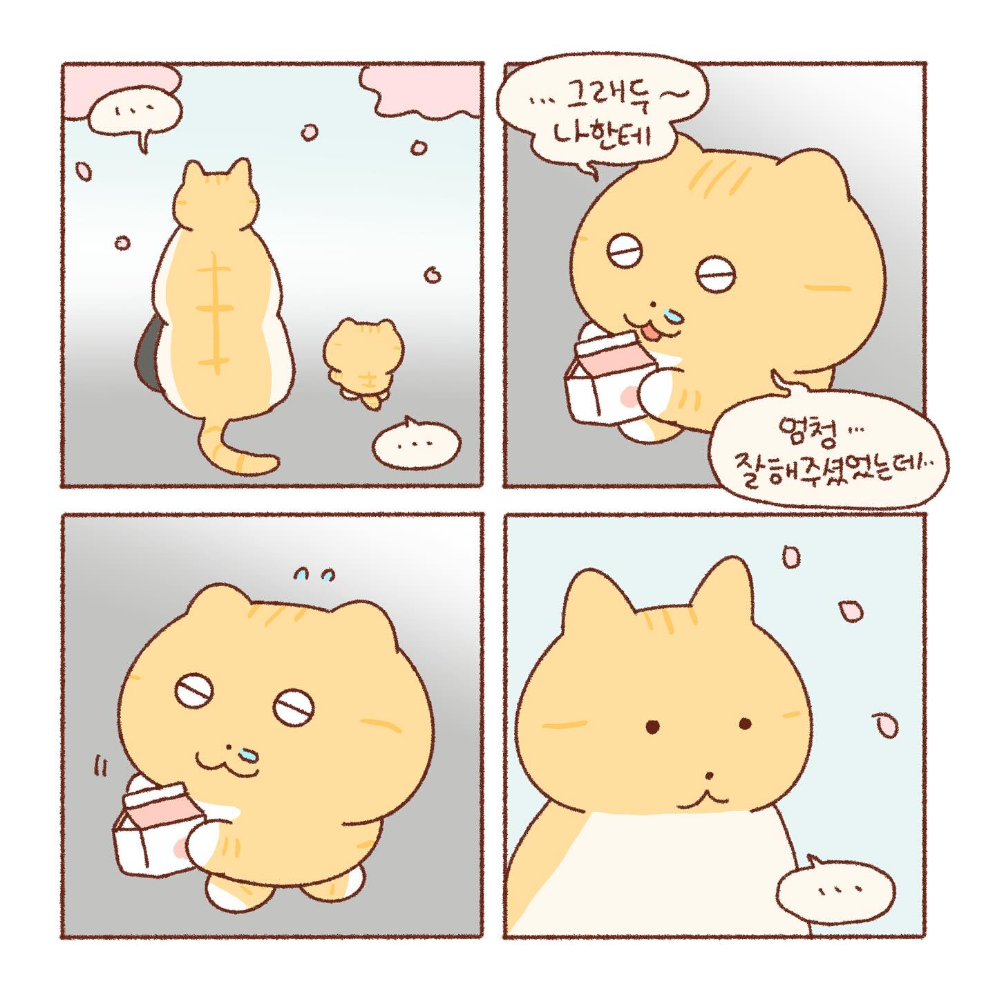 엄마가 웃는게 좋은 콩물이 | 인스티즈