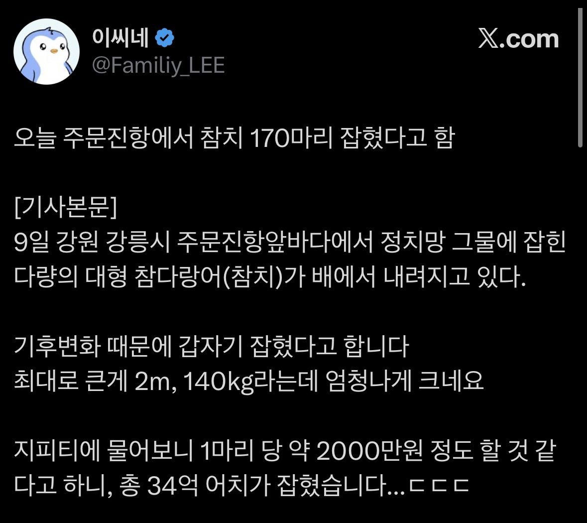 주문진항에서 잡힌 참치 170마리.jpg | 인스티즈