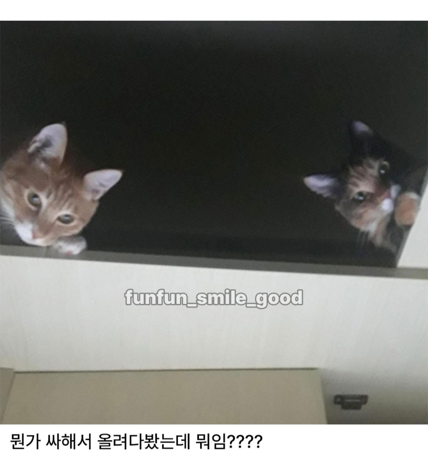 나 독서실인데 이거 뭐냐... | 인스티즈