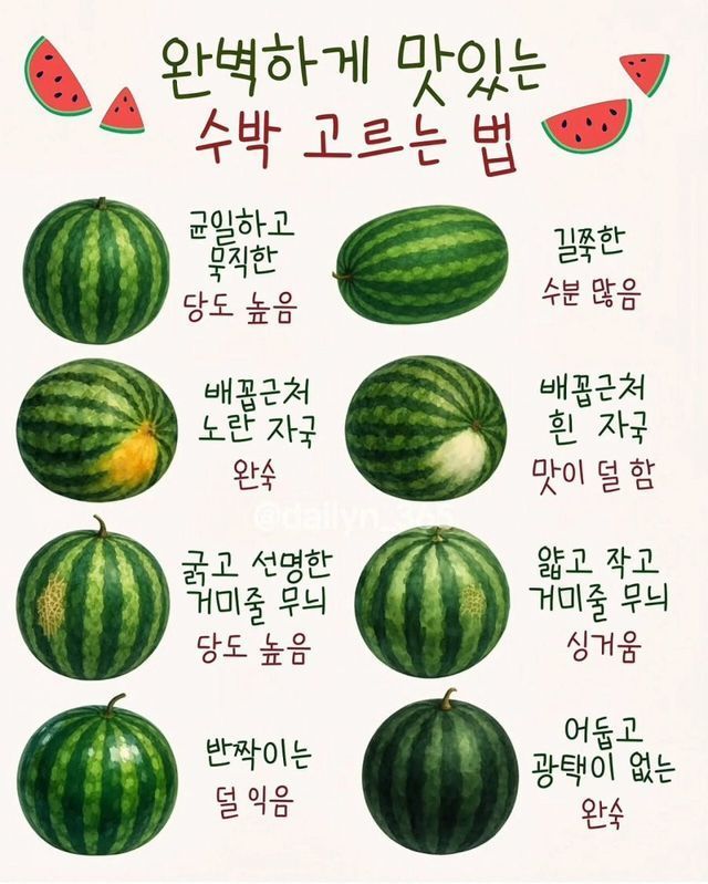 맛있는 수박 고르는 법 | 인스티즈