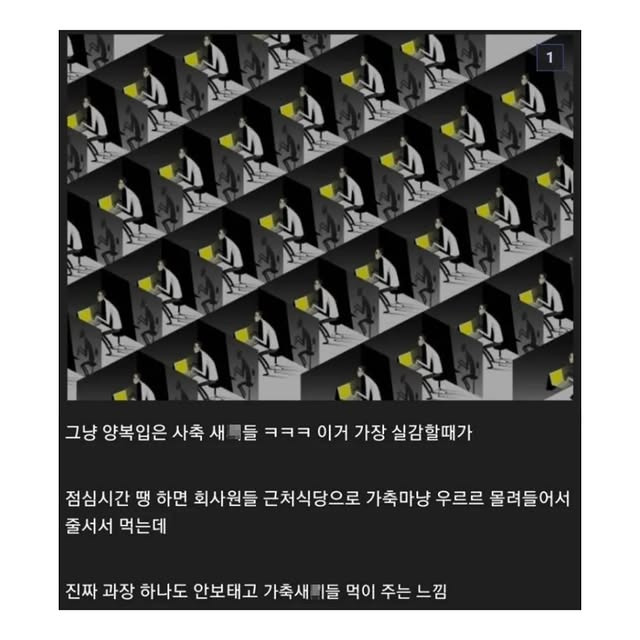 백수였다가 직장인 되니 환상 다 깨짐 | 인스티즈