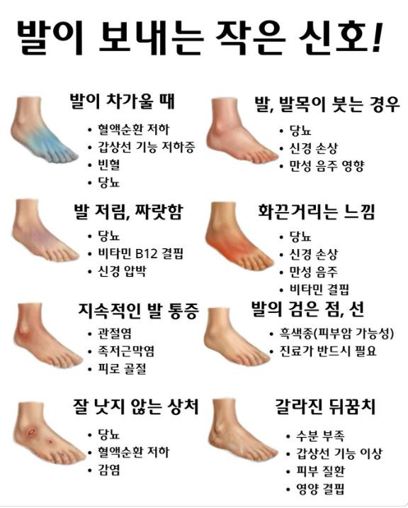 발이 보내는 작은 신호 | 인스티즈