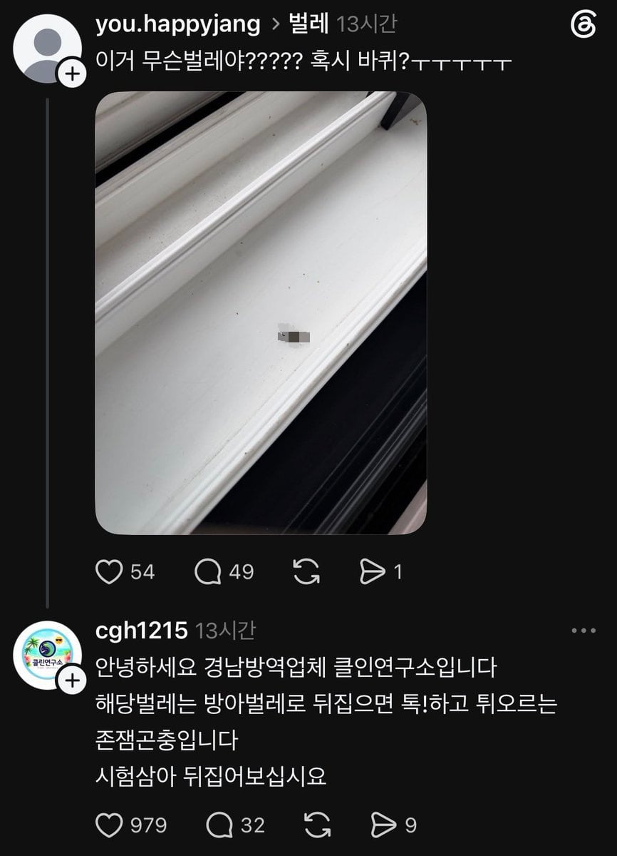 바선생 아니고 존잼곤충입니다 | 인스티즈