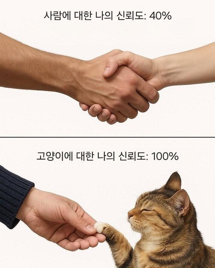 싱글벙글 인간에 대한 나의 신뢰도.jpg | 인스티즈