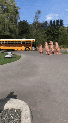 가족이 부끄러워 피하는 막내딸.gif | 인스티즈