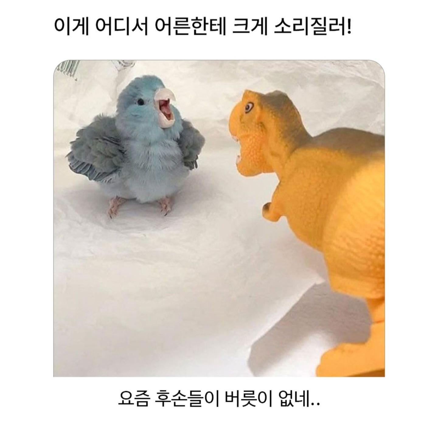 이게 어디서 어른한테 소리질러!!! | 인스티즈