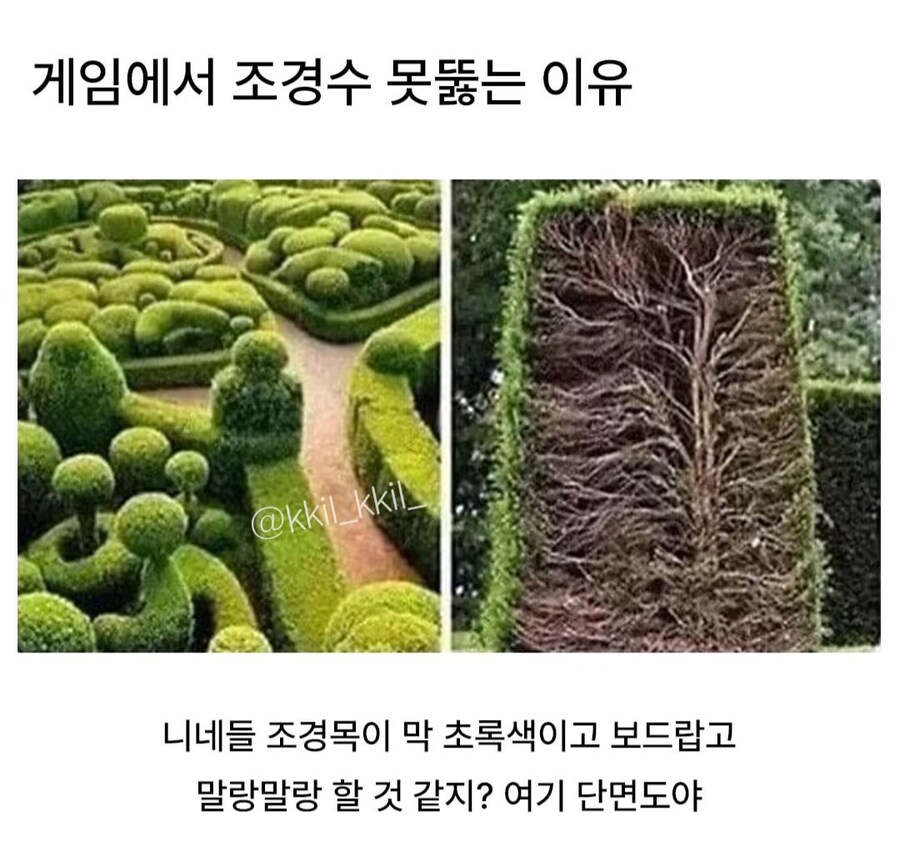 게임에서 조경수 못 뚫는 이유 | 인스티즈