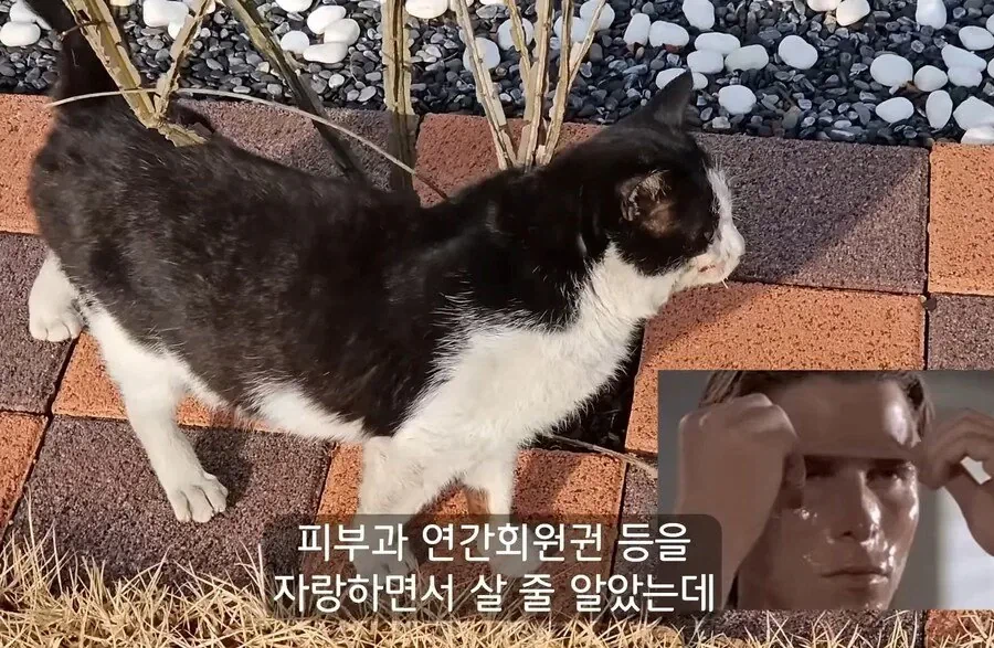 30대에 가능한 자랑 | 인스티즈