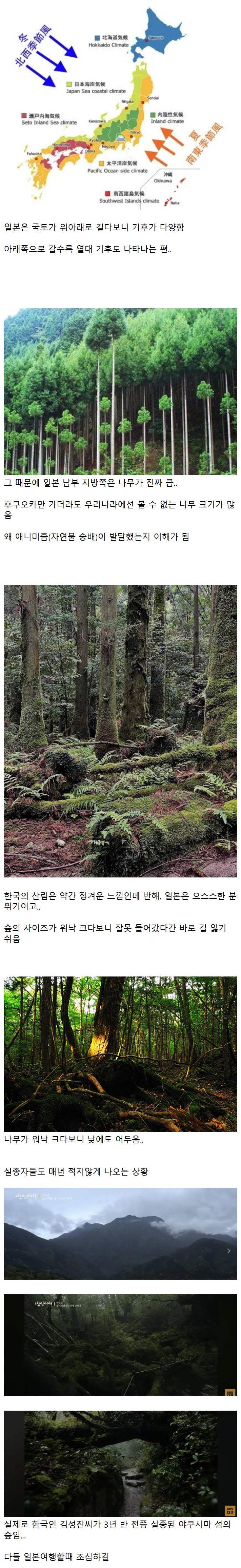 일본 지방여행 가면 의외로 공포스러운 것 | 인스티즈