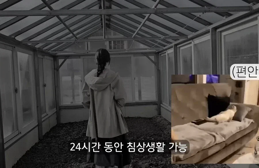 30대에 가능한 자랑 | 인스티즈