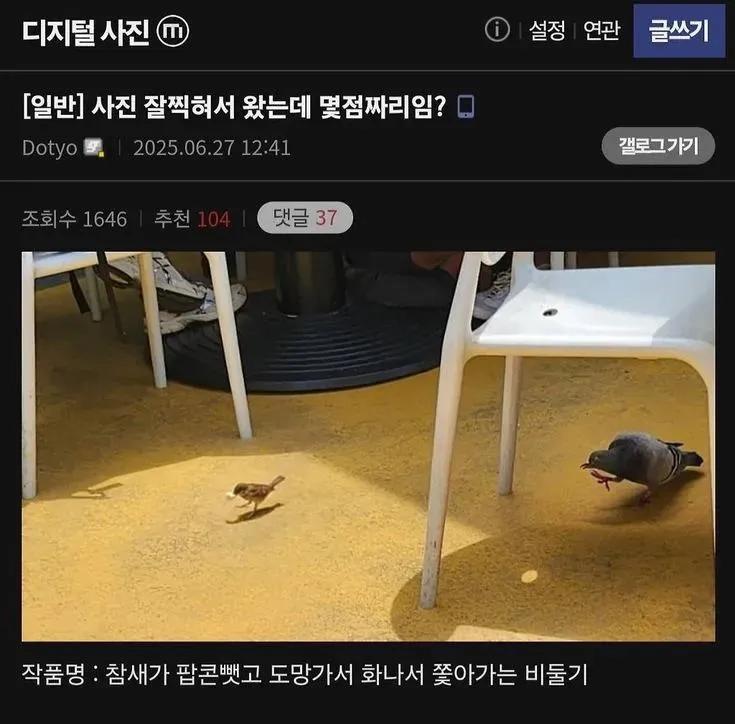 사진 잘 찍혀서 왔는데 몇점짜리임? | 인스티즈