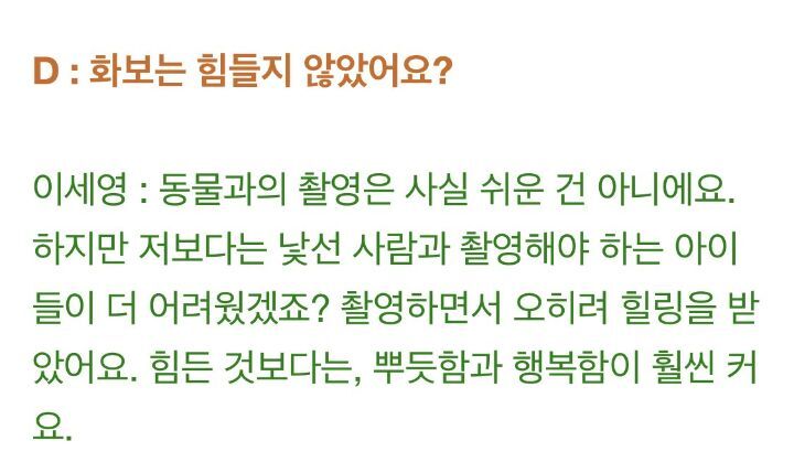 옷에 묻은 털이 찐이라는 이세영 유기견 화보 | 인스티즈