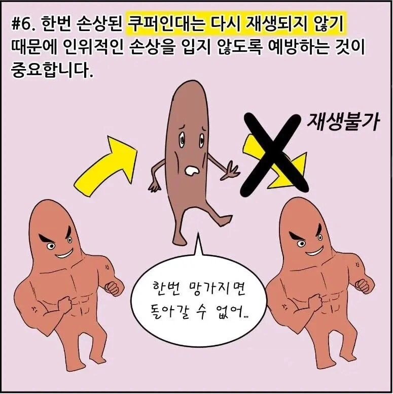 가슴이 쳐지는 이유 | 인스티즈
