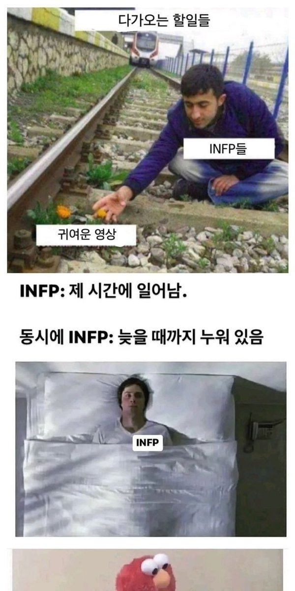 이미지로 이해하는 INFP | 인스티즈