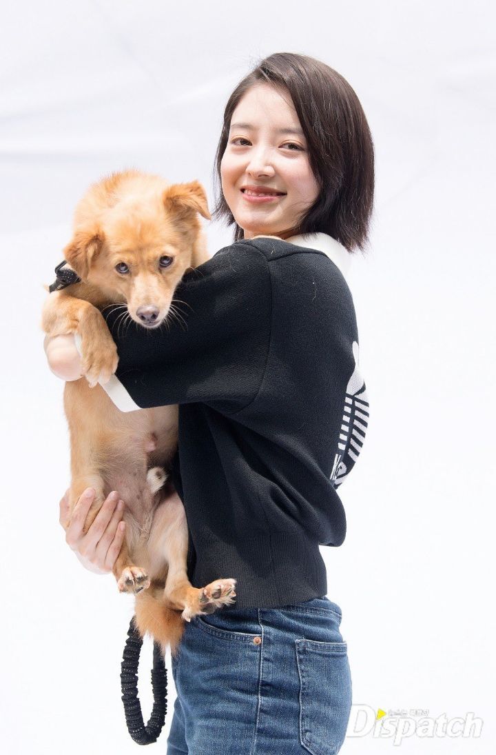 옷에 묻은 털이 찐이라는 이세영 유기견 화보 | 인스티즈