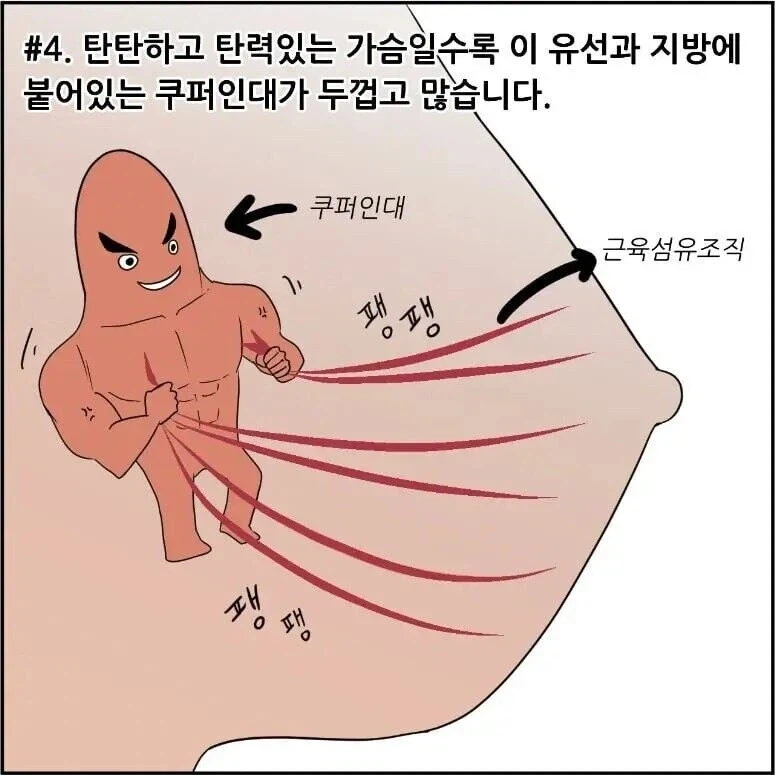 가슴이 쳐지는 이유 | 인스티즈