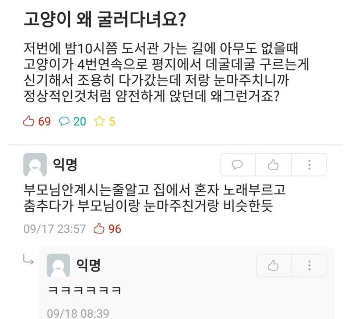 굴러다니는 고양이 | 인스티즈