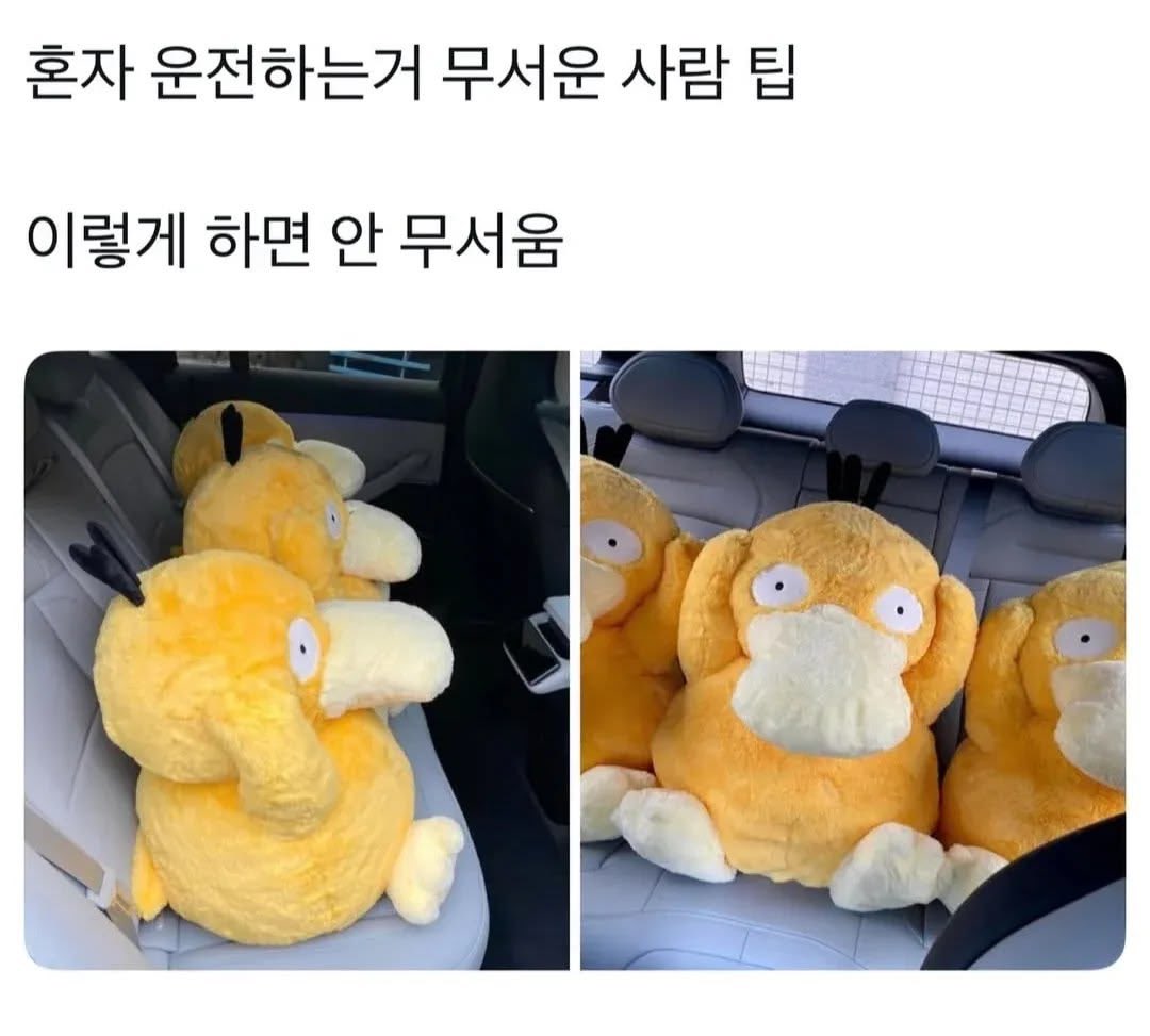 혼자 운전하는거 무서운 사람 팁 | 인스티즈