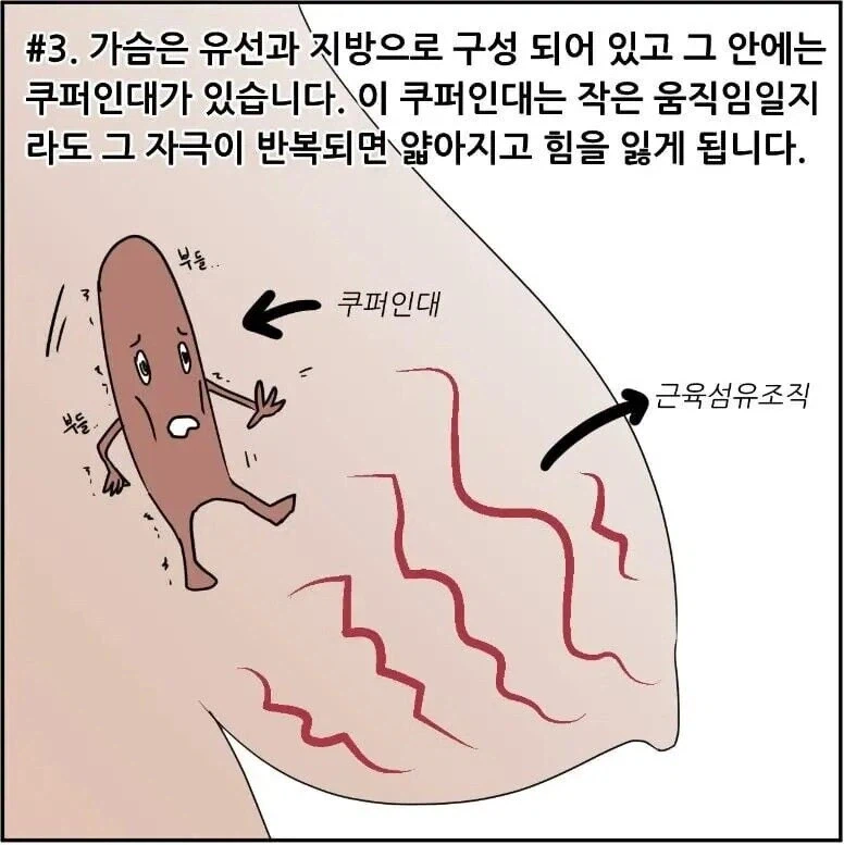 가슴이 쳐지는 이유 | 인스티즈