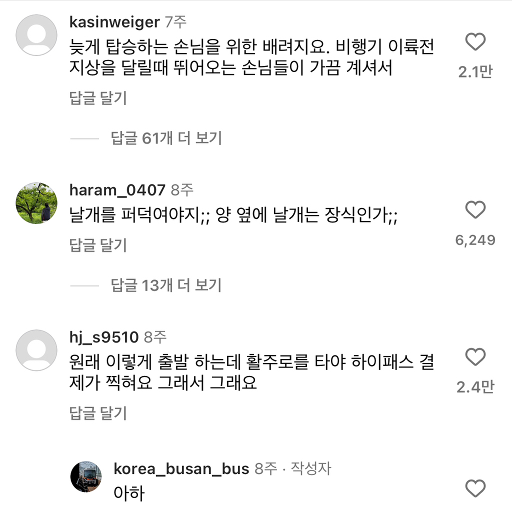비행기 그냥 날면 되는데 왜 굳이 활주로까지 감? | 인스티즈