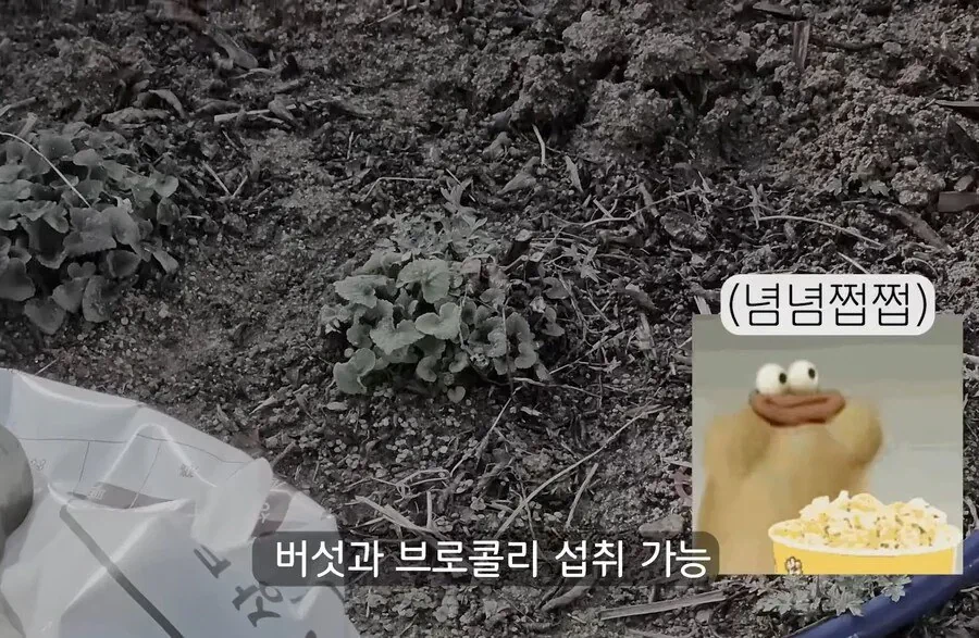30대에 가능한 자랑 | 인스티즈