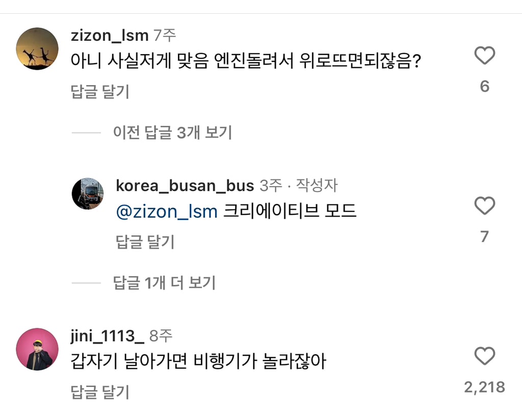 비행기 그냥 날면 되는데 왜 굳이 활주로까지 감? | 인스티즈