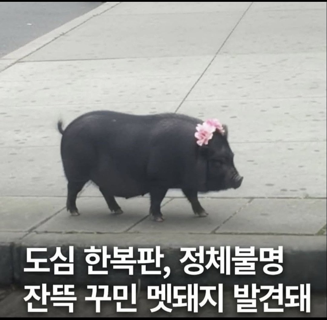 간만에 꾸미고 나왔는데 사람들이 막 사진 찍는다 | 인스티즈