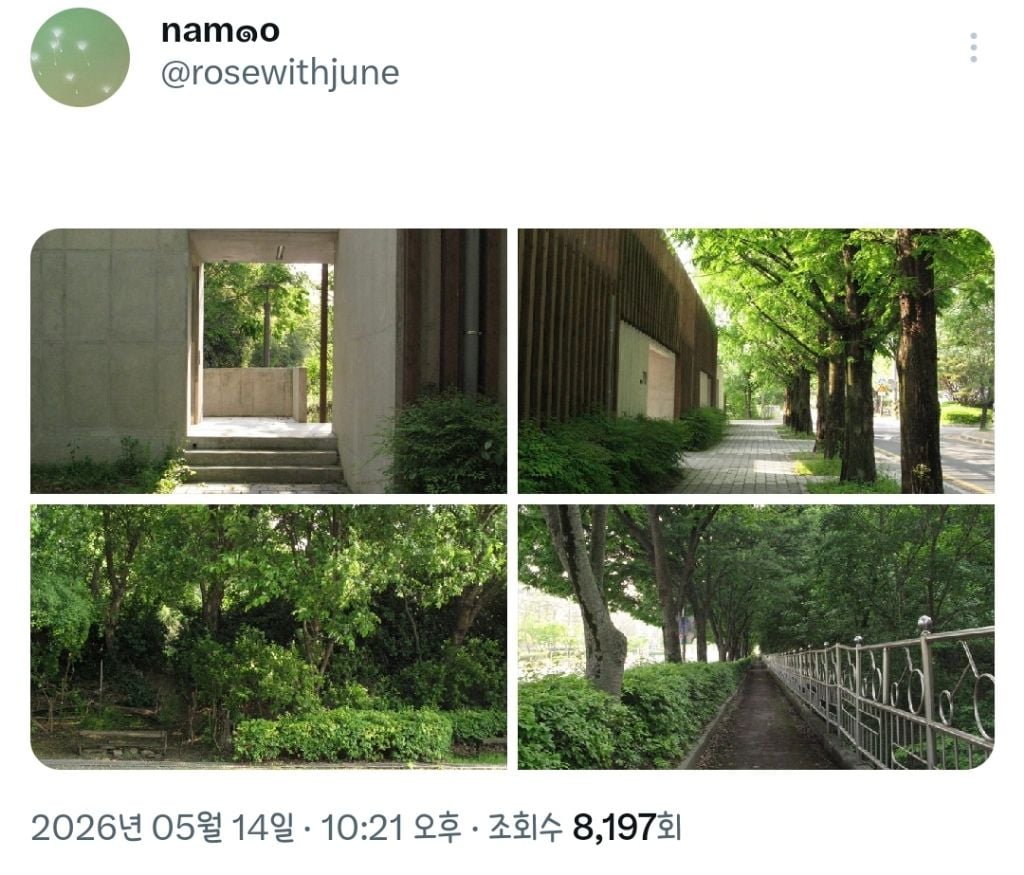 봄에는 버스 타거나 무작정 걷는 시간도 전부 여행인 게 좋다.twt | 인스티즈