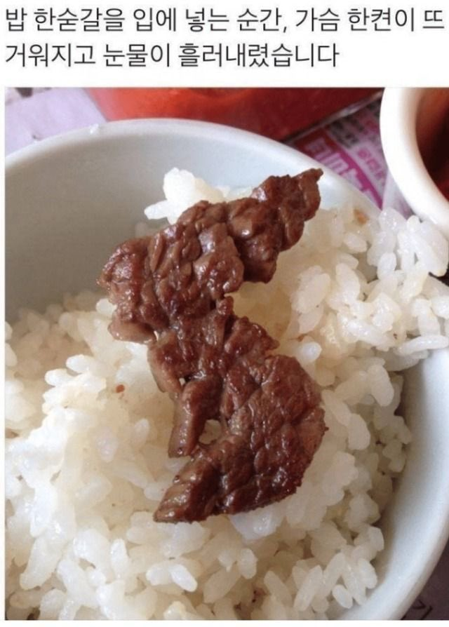 밥 먹다가 애국심이 올라온다... | 인스티즈