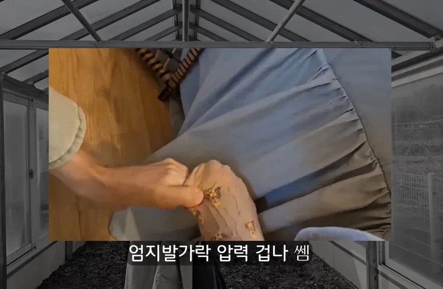30대에 가능한 자랑 | 인스티즈