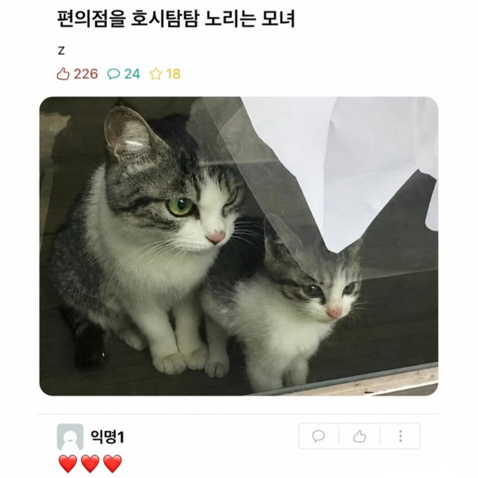 편의점을 호시탐탐 노리는 모녀 | 인스티즈