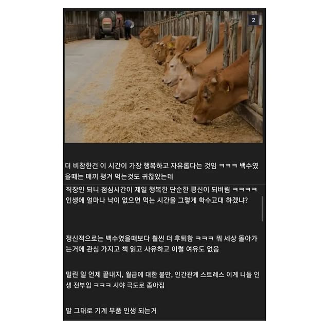 백수였다가 직장인 되니 환상 다 깨짐 | 인스티즈