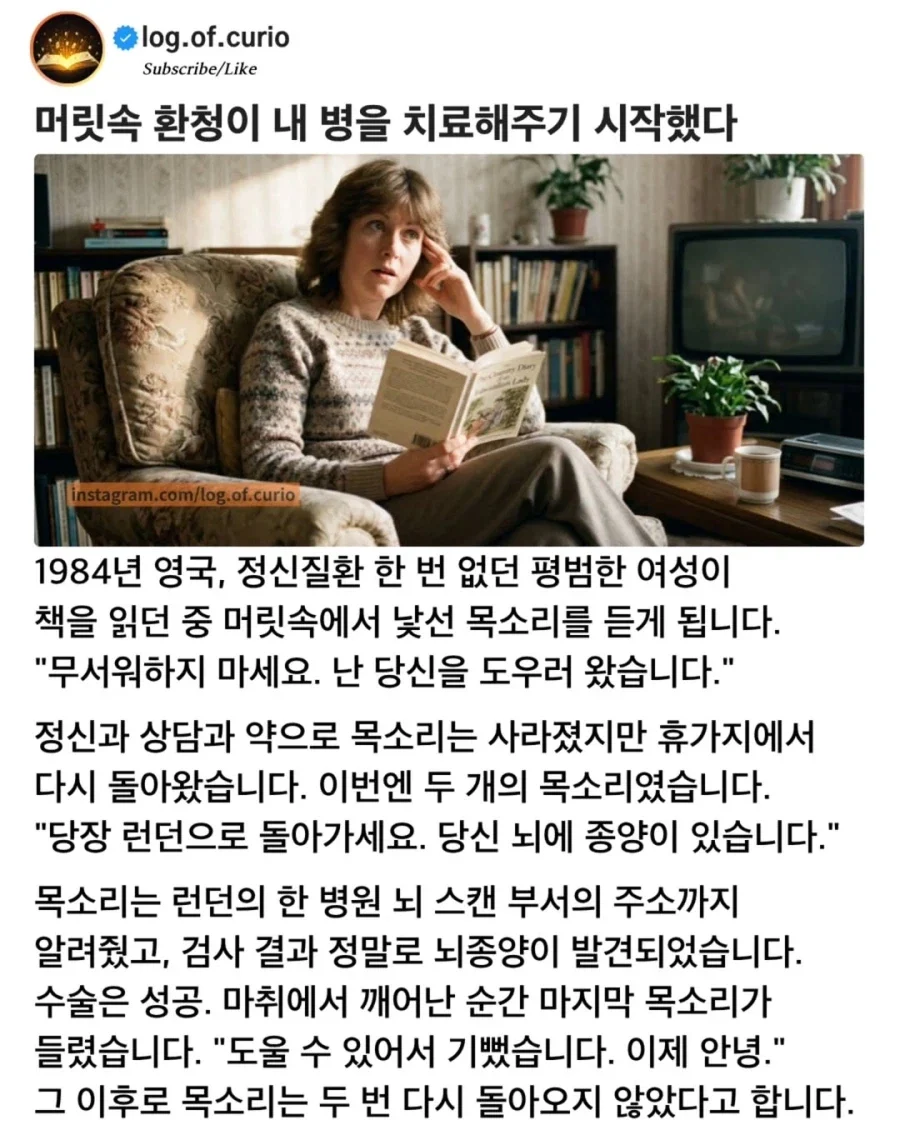 머릿속 환청 덕분에 목숨을 건진 여성 | 인스티즈