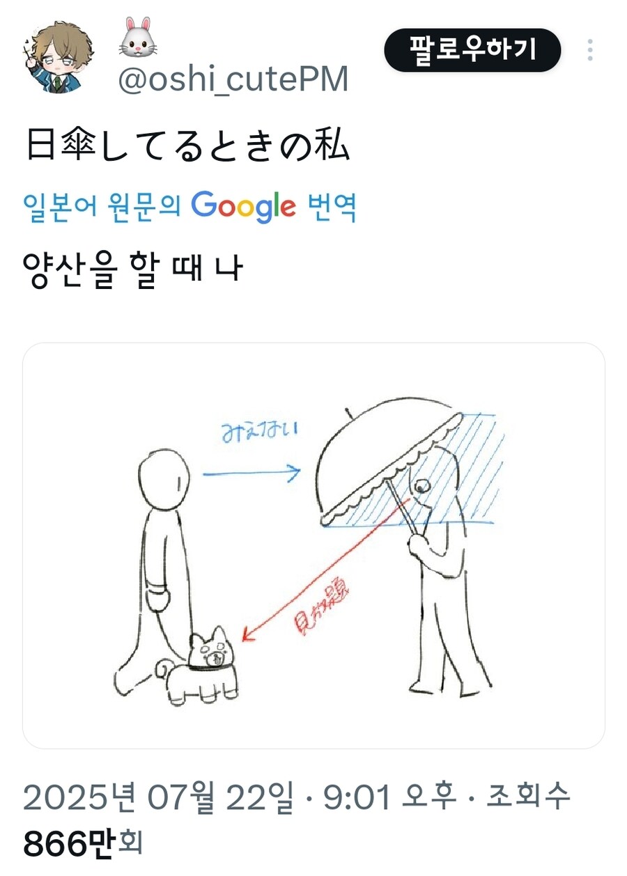 양산을 푹 쓰는 이유 | 인스티즈