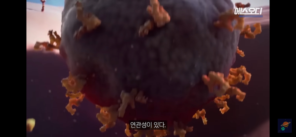 이름이 외모에도 영향을 준다는 논문 | 인스티즈