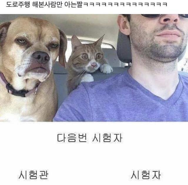 도로주행 시험 쳐본 사람만 아는 짤 | 인스티즈