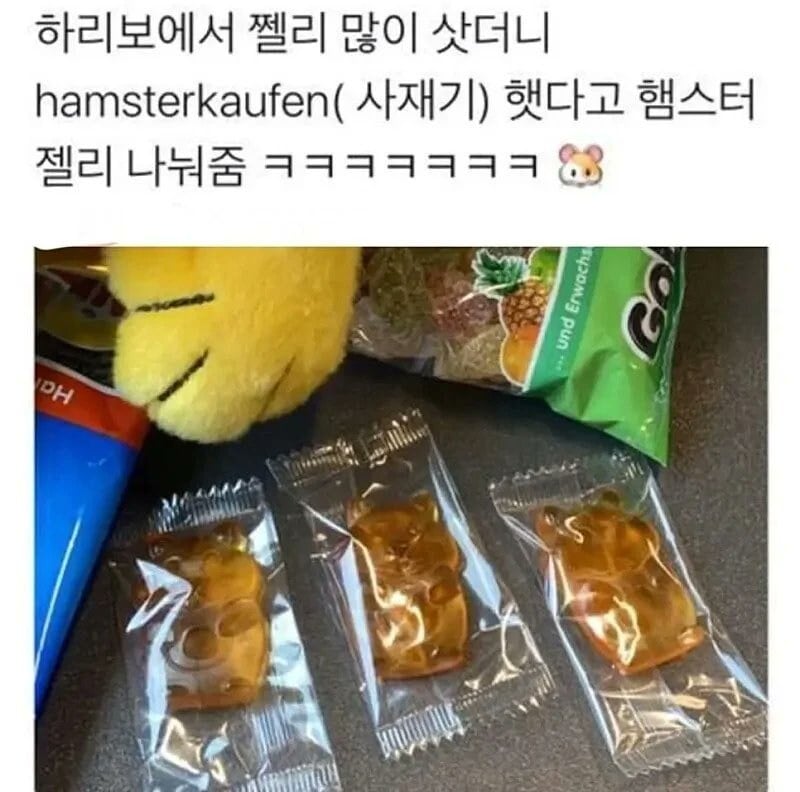도이치스라이히에서 젤리를 많이 샀더니 | 인스티즈